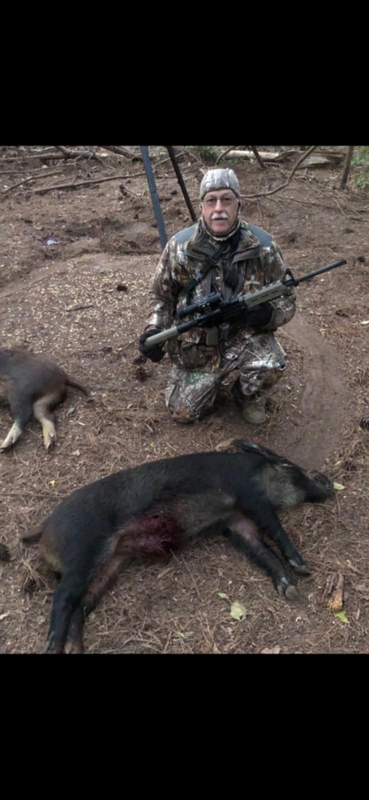 Pig