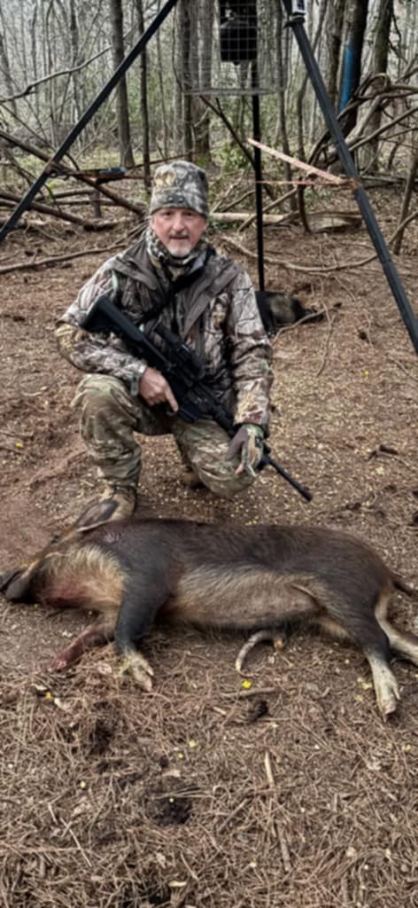 Pig
