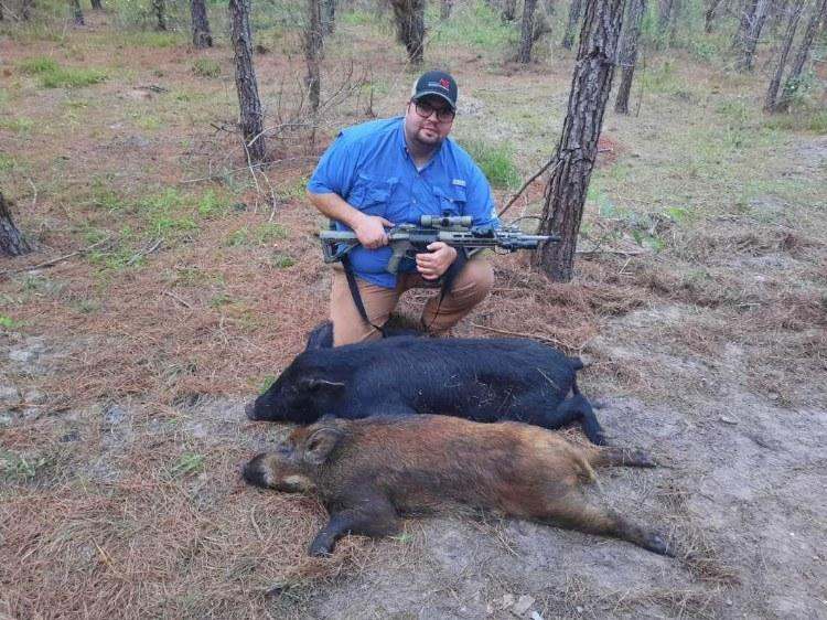 Hog